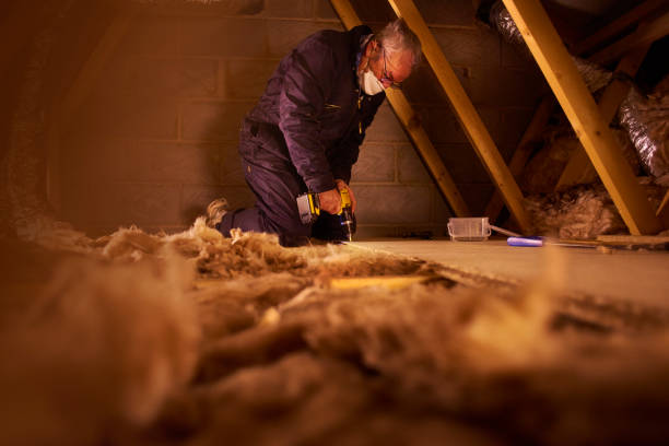 Best Insulation Installation Services in Newhall, IA